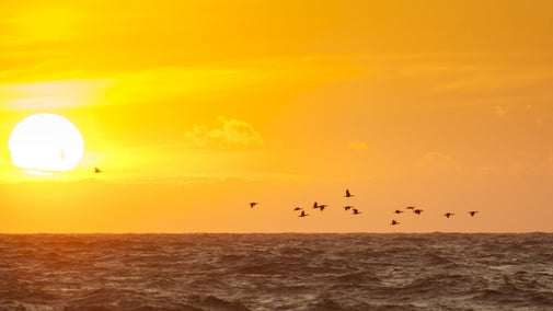 The sun setting over the sea off the village of Kearney, County Down. The National Trust bought the majority of the village in 1965, with the last part being given to the Trust four years later.